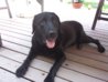 20130718_111342.jpg