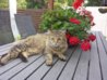 20130610_080315.jpg