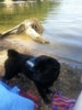 20130727_123831.jpg