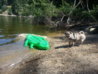 20130727_123901.jpg