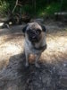 20130727_123943.jpg