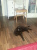 20130801_202040.jpg
