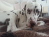 20130809_123030.jpg
