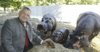 Herbert_Haupt_jetzt_Nilpferd-Papa-Glueckliche_Familie-Story-10584_500x260px_1_7QnWZjPYCBdBQ.jpg