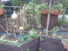 2013-09-03 18.43.51.jpg