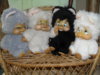 SDC10649.JPG
