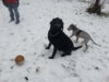 20131203_140622.jpg