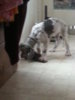 20131203_142522.jpg