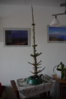 4061_0_DSC_0742-skaliert.jpg