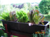 Photo 019.JPG