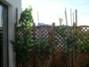 SDC11021.JPG