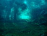 DSCN9164.jpg