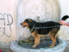 DSCN9483.jpg