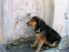 DSCN9484.jpg
