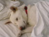 DSCN9552.jpg