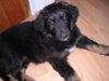 DSCN0643.JPG