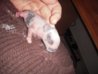 bunny2.jpg