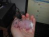 DSCN2056.jpg