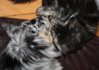Hardy Sally02-09.JPG