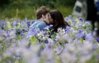 In the meadow.jpg