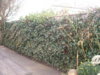 DSCN1545.jpg