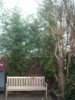 DSCN1547.jpg