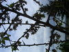 PICT1524.JPG