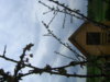 PICT1525.JPG