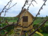 PICT1526.JPG