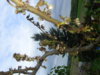 PICT1527.JPG