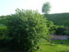 PICT1191.JPG