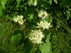 PICT1192.JPG