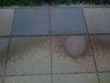 terrasse.jpg