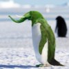 Elepingu.jpg