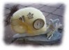 4c27319a160a3_huge.jpg
