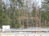 DSCN4082.jpg