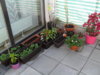 SDC10379.jpg