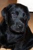 Rosi_April_2011 005.jpg