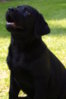 Rosi_April_2011 024.jpg