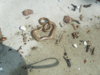 DSCF0962.jpg