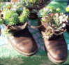 Stiefel.jpg