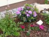 garten4.jpg