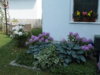 P1000283.jpg