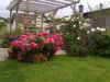 02062011114 Ganrt.jpg