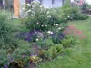 02062011117Garten.jpg