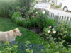05062011129Strassenseite.jpg
