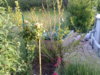 05062011135Hochbeet.jpg