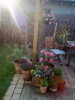 05062011130Westterasse2.jpg