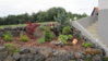 20110530 Beet links.jpg