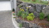 20110530 Beet rechts.jpg